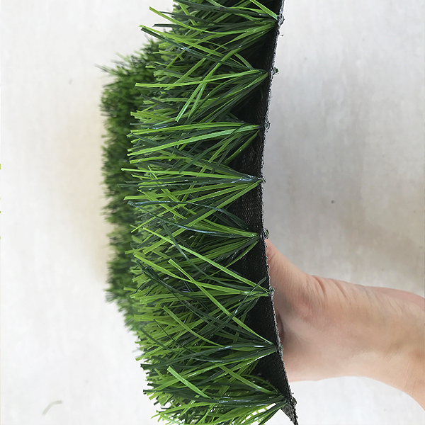 sports grass